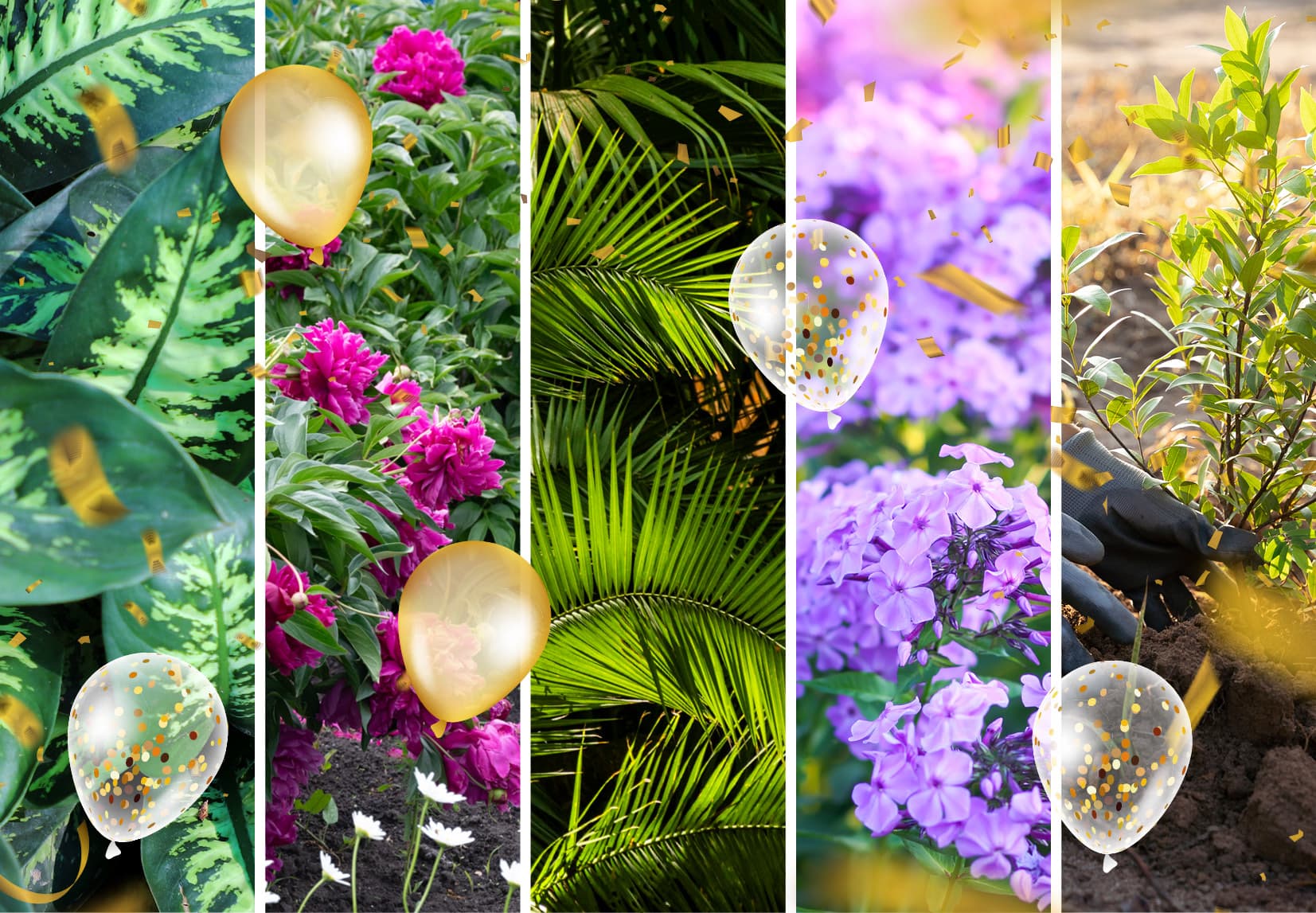 Mehrere Pflanzen und Blumen in einer Collage zusammen geschnitten.