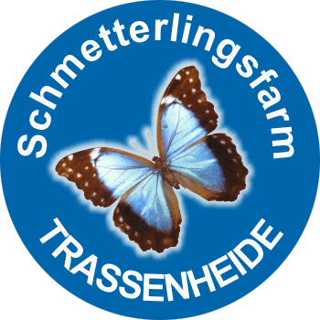 Schmetterlingspark Trassenheide Logo