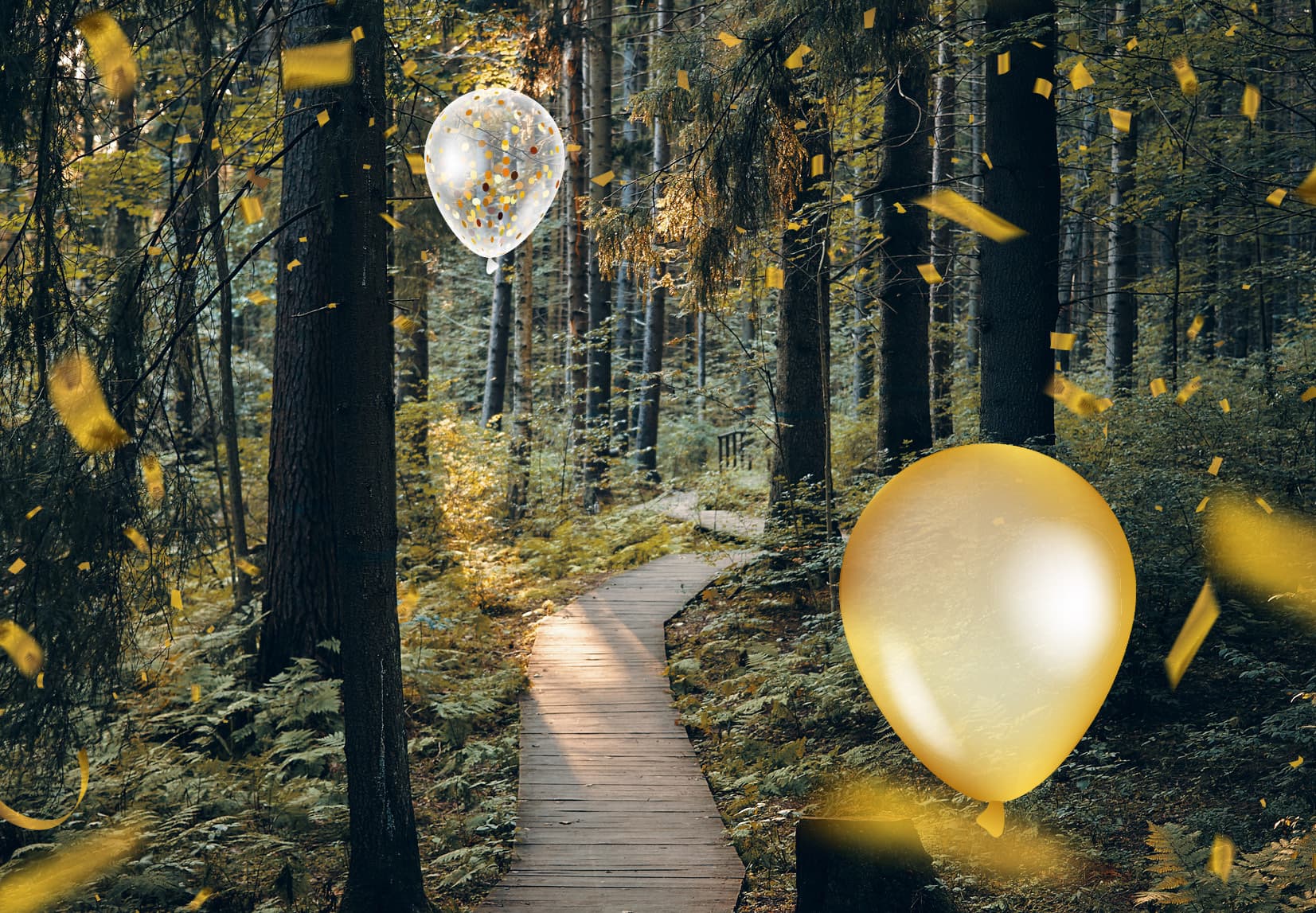 Ein Wald mit einem Holzweg.